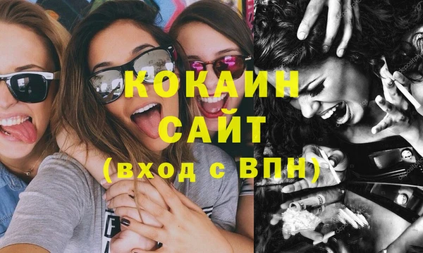 индика Болохово