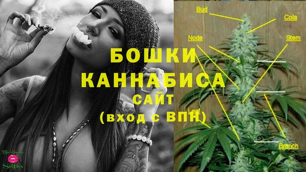 индика Болохово
