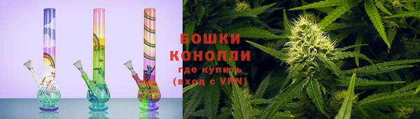 молекула духа Надым