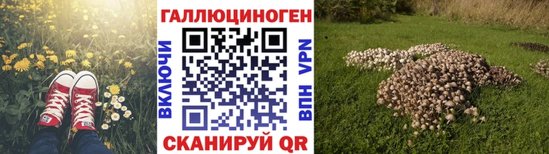 Галлюциногенные грибы мицелий  дарнет шоп  Петровск 