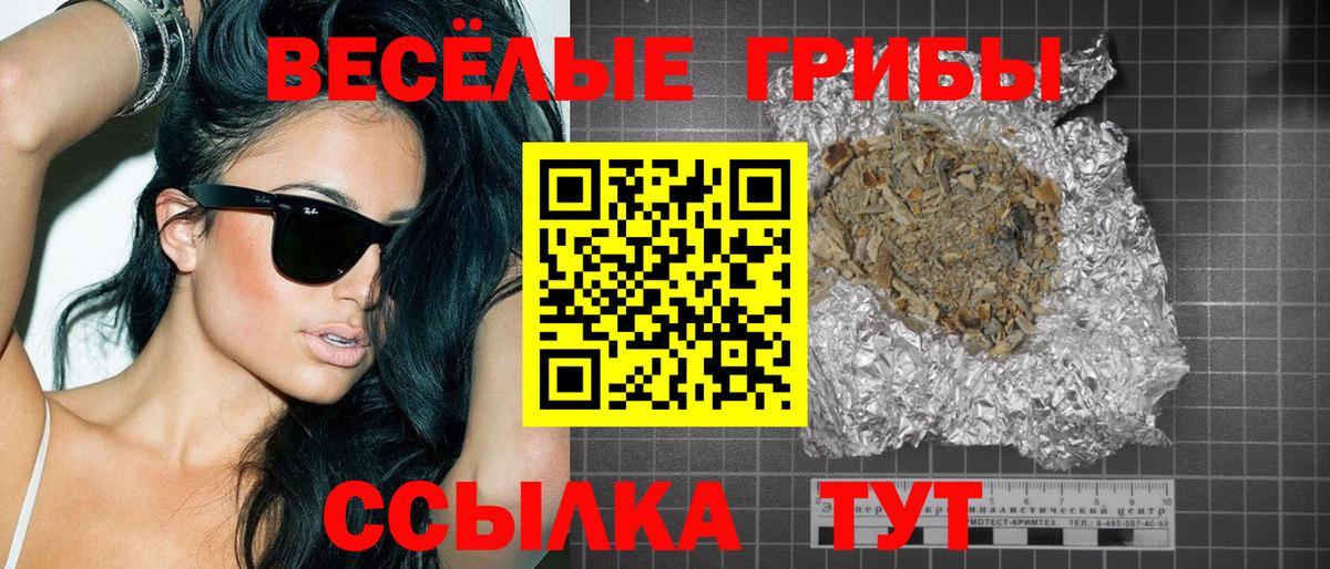 Галлюциногенные грибы Psilocybine cubensis Петровск