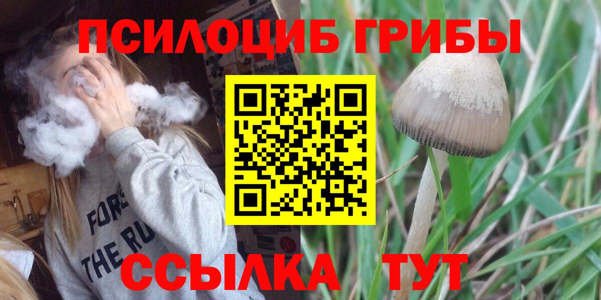 Галлюциногенные грибы Psilocybe  Вход с VPN  Петровск 